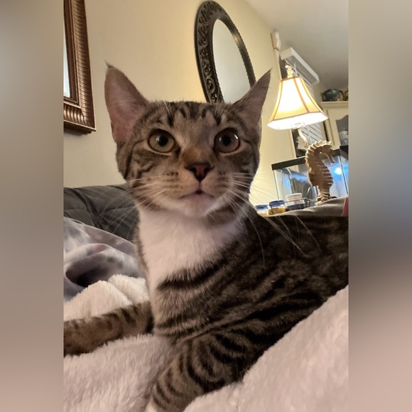 Meet your Posher, Meredith - Picture 11 of 11